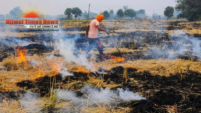 एम्स की चौंकाने वाली रिपोर्ट: पराली का धुआं पहुंचा दिल तक,बढ़ा हाई ब्लड प्रेशर का खतरा